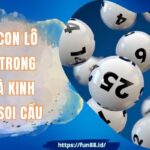 Những Con Lô Hay Về Trong Tuần Và Kinh Nghiệm Soi Cầu